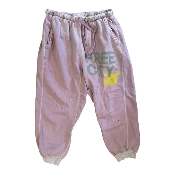 FREECITY Women’s Sunfades Light Purple Joggers w pockets Size Medium - Picture 2 of 8